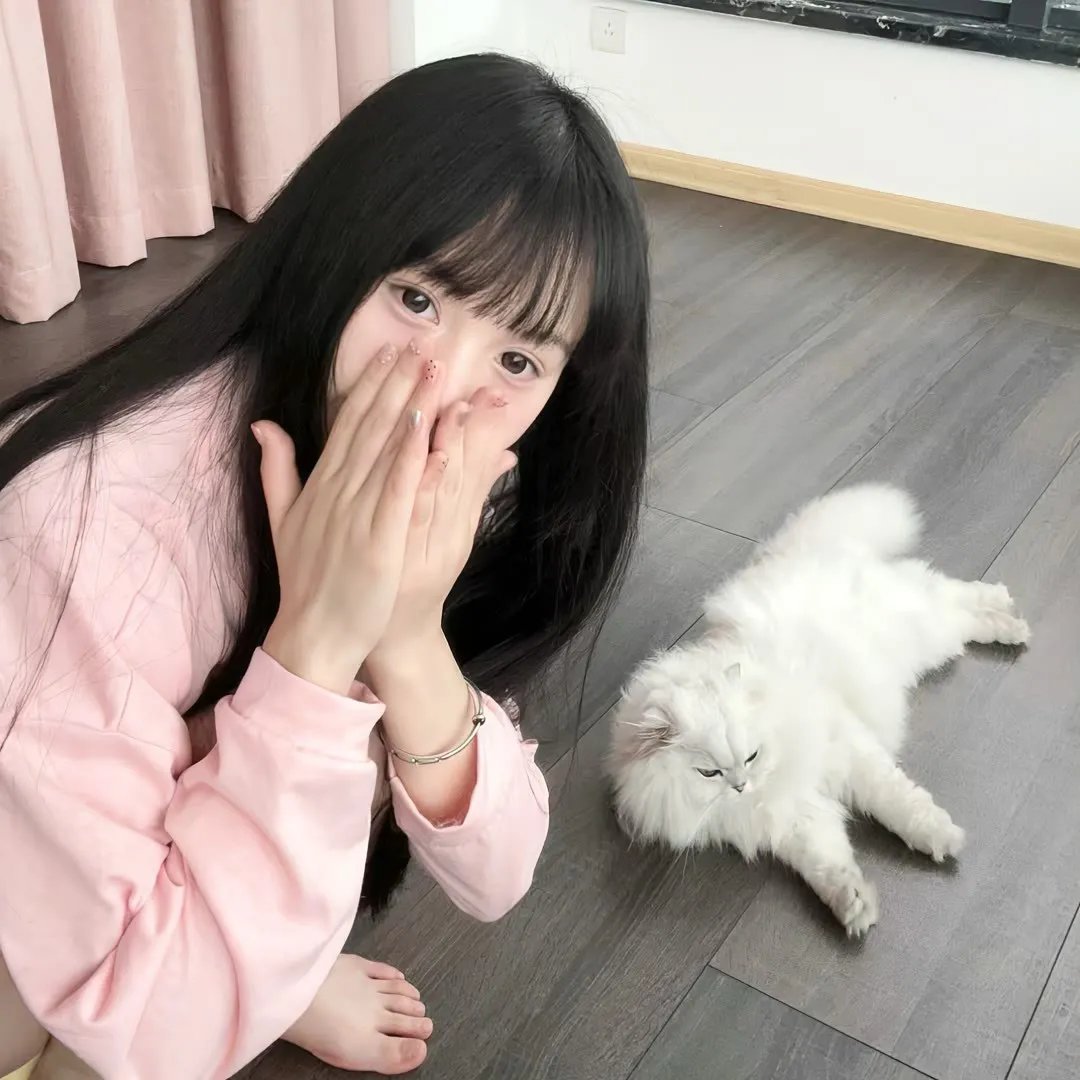 风犬少年的天空